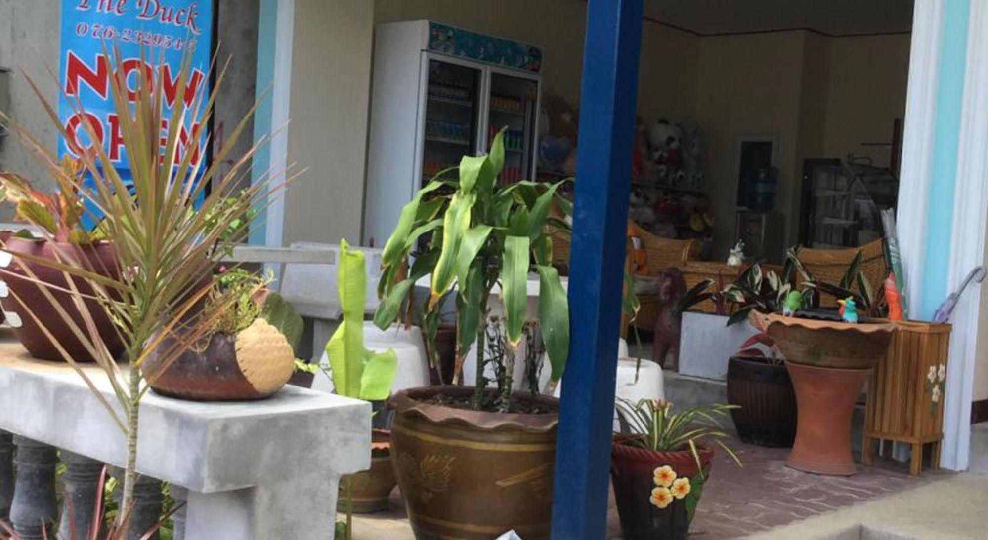 The Duck Hotel Phuket Ngoại thất bức ảnh